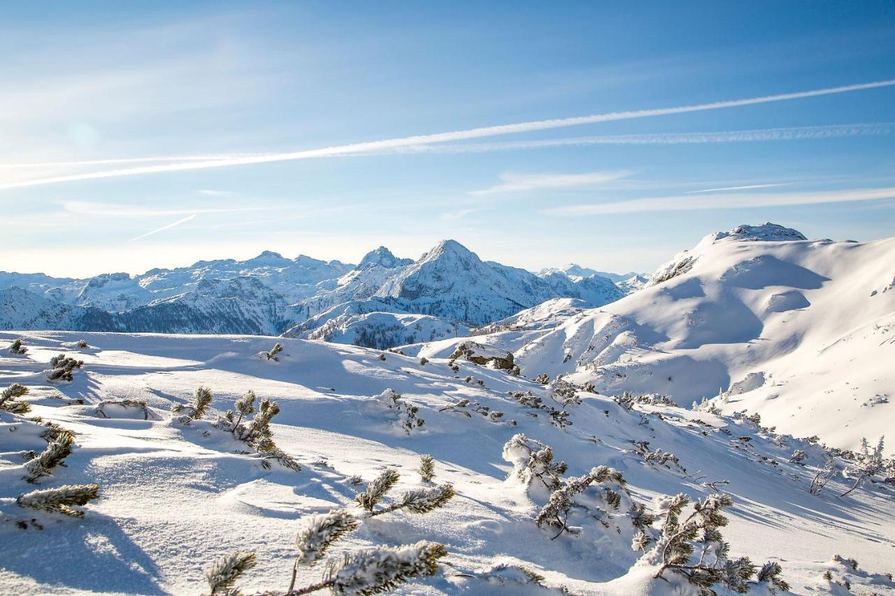Natursinn Mountainchalets Flachau Kültér fotó