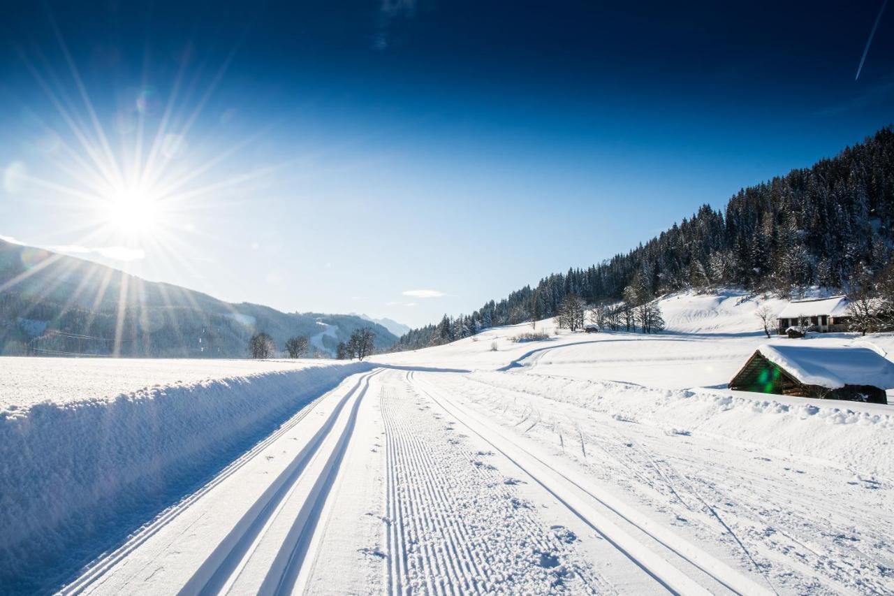 Natursinn Mountainchalets Flachau Kültér fotó