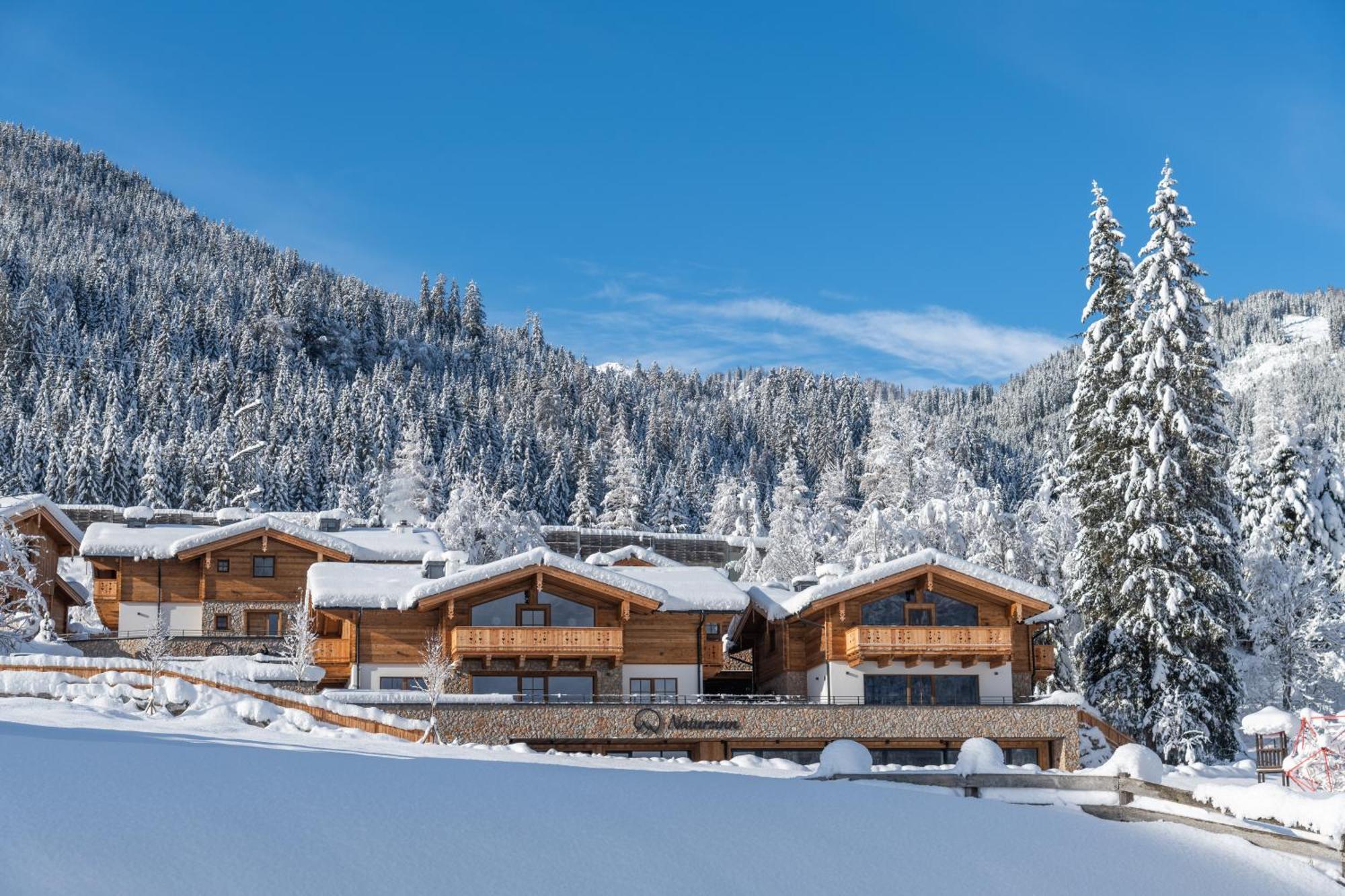 Natursinn Mountainchalets Flachau Kültér fotó
